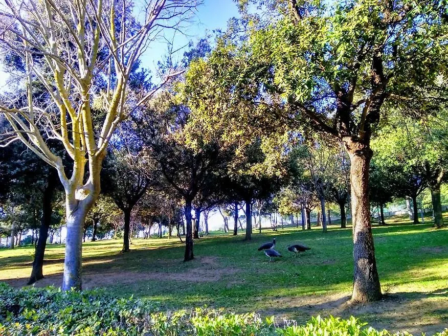 Affittacamere Castelvì Rooms Cagliari Italia